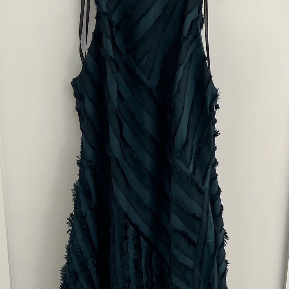 NWT Rebecca Taylor Dress - Picture 3 of 8